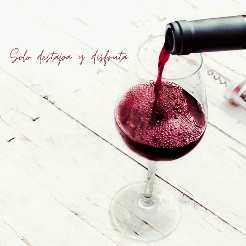 VinoEase Pro
